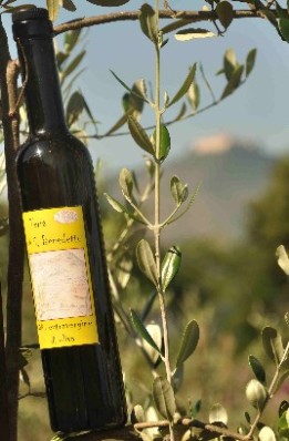 Olio con sfondo Abbazia di Montecassino