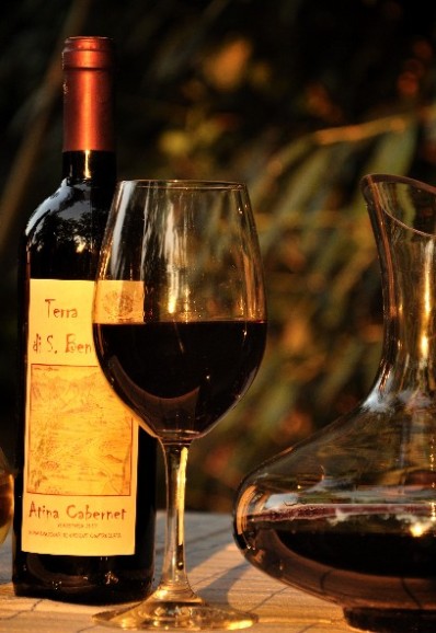 Vino rosso Cabernet Atina DOC