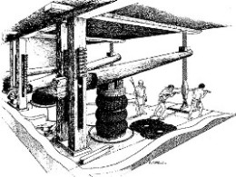 antico torchio olivo