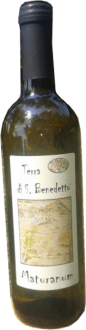 vino bianco maturano