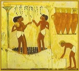 vendemmia e vinificazione egizi